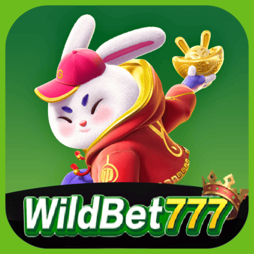 Vantagens da plataforma WILDBET777