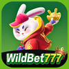 Logo da WILDBET777